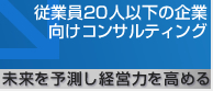 従業員20人以下の企業向けコンサルティング　未来を予測し経営力を高める